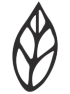 Icon von einem Blatt